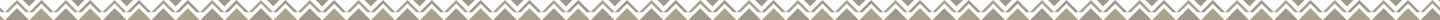 section footer